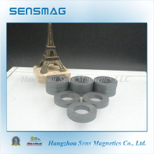 Manufacture Powful Ferrite Ring Magnet with RoHS